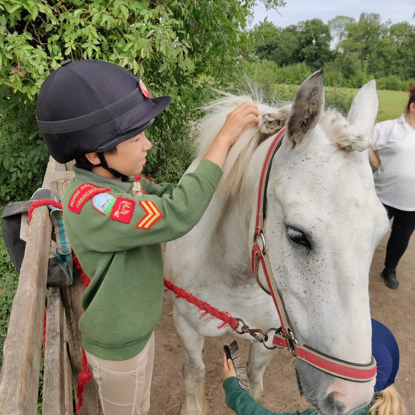 A Horse Ranger in a riding hat brushing a grey pony while another Ranger grooms alongside her.